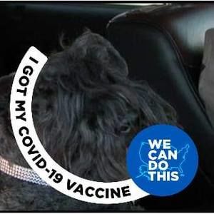 Meet your Posher, Charles